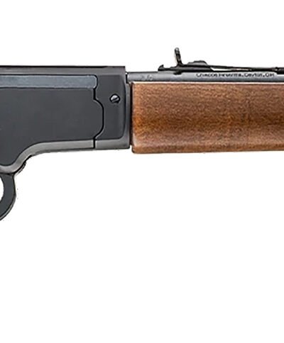 CHIAPPA FIREARMS LA BANDIT TAKEDOWN 22LR 12"