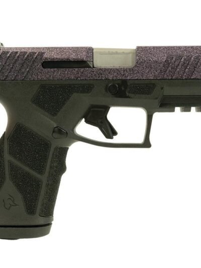 Taurus GX2 "Purple Sparkle" Handgun 9mm Luger 13rd Magazines (5) 3.38" Barrel Black Frame/Custom Slide