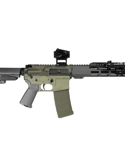 Shark Coast Bugbear AR Pistol Bundle 5.56mm 30rd Magazine 10.5'' Threaded Barrel Vortex Crossfire Red Dot Streamlight ProTac SBA3 Brace