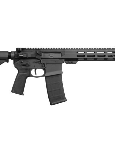 US PALM STORM CAT4 5.56 BLK 30+1 11.5"