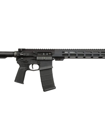 US PALM STORM CAT4 5.56 BLK 30+1 16"