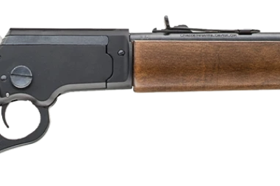 CHIAPPA LA322 BANDIT TAKEDOWN 22LR RIFLE WOOD STOCK 12" BARREL PISTOL GRIP/WOOD STOCK