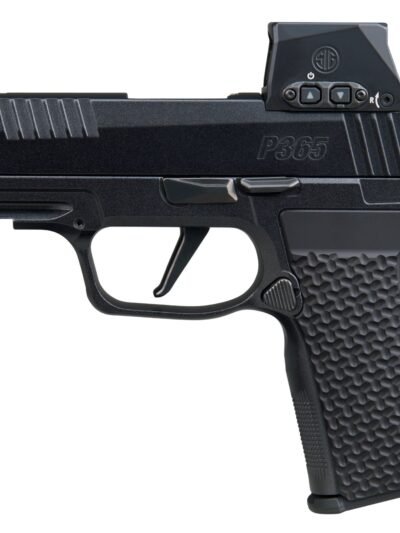 SIG SAUER P365 AXG LUXE 380ACP 12+1 ROMX