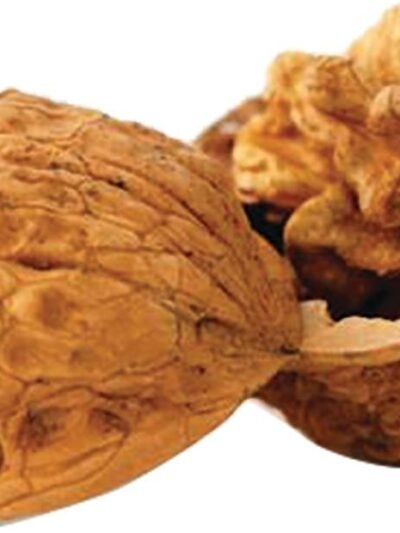 Berry's Walnut Media 8 lb. Box