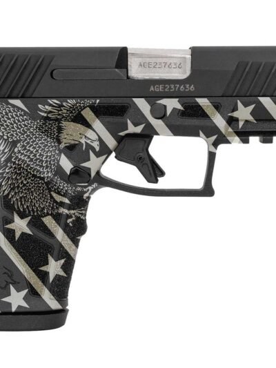 Taurus GX2 Eagle Handgun 9mm Luger 10rd Magazines (2) 3.38" Barrel Black Slide/Eagle Grip