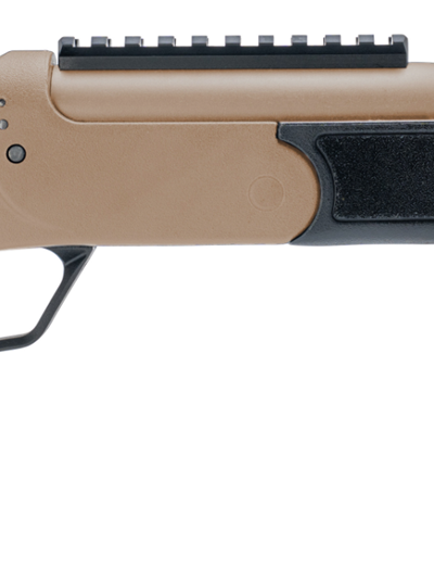 ROSSI BRAWLER 300BLK 9" BL/FDE #
