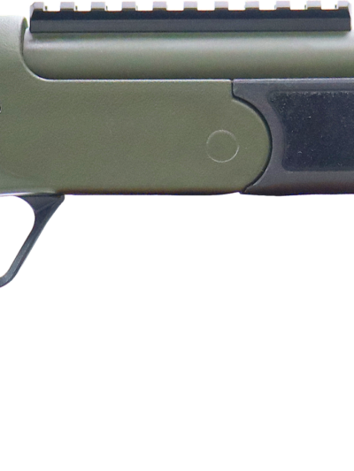 ROSSI BRAWLER 300BLK 9" BL/ODG #