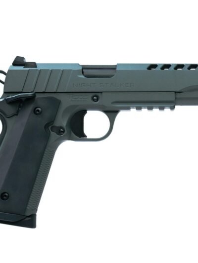 Tisas 1911 Night Stalker 10MM 8 Rd Magazine (2) 5'' Barrel Cerakote Grey