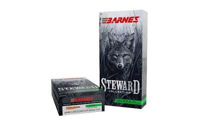 BARNES STWRD 6MM CM 80GR TVK 20/200